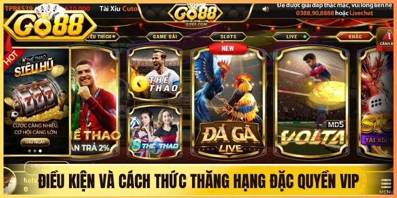 Điều kiện và cách thức thăng hạng đặc quyền VIP tại cổng game Go88