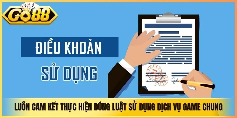 Luôn cam kết thực hiện đúng luật sử dụng dịch vụ game chung